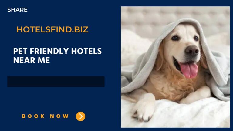 Pet Friendly Hotels Near Me (Easy Travel Journey With Pets) In 2024
