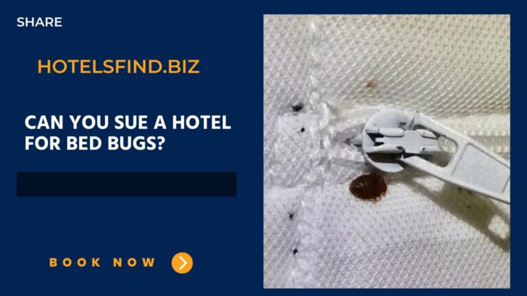 Can You Sue a Hotel for Bed Bugs? (Best Guide) Of 2024