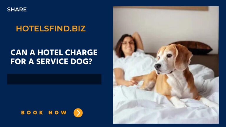 Can a Hotel Charge for a Service Dog? In 2024