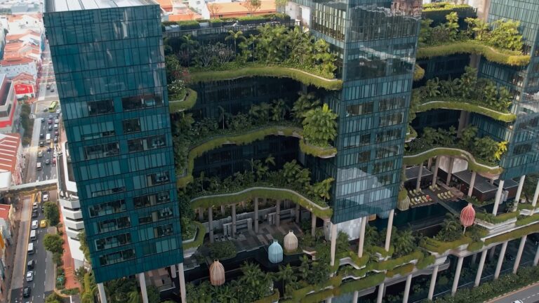 Biophilic Design in Hotel